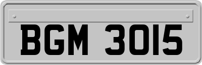 BGM3015