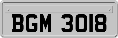BGM3018