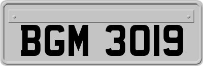 BGM3019