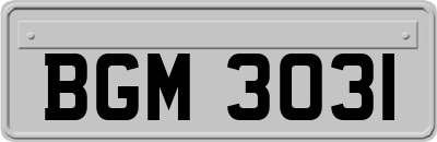 BGM3031