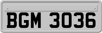 BGM3036