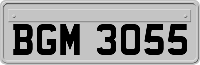 BGM3055