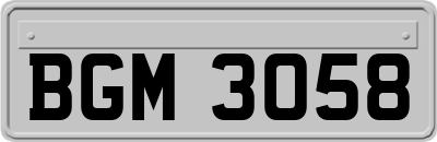 BGM3058