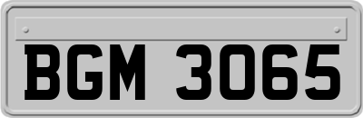 BGM3065