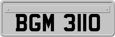 BGM3110