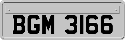 BGM3166
