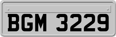 BGM3229