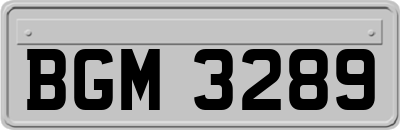 BGM3289
