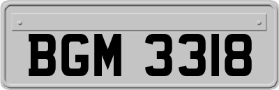 BGM3318