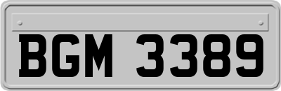 BGM3389