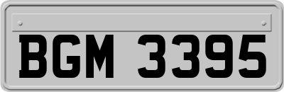 BGM3395