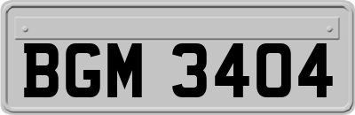 BGM3404