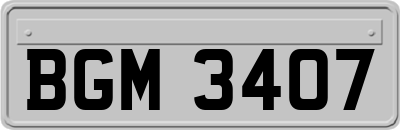 BGM3407