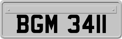 BGM3411