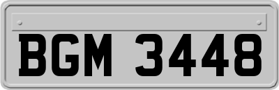 BGM3448