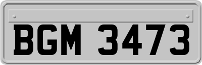 BGM3473