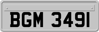 BGM3491