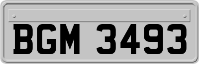 BGM3493