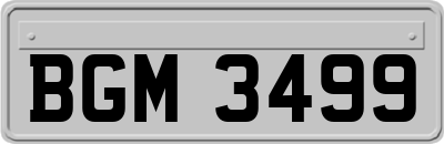 BGM3499