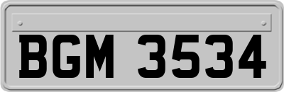 BGM3534
