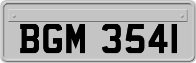 BGM3541