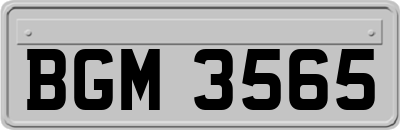 BGM3565