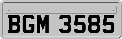 BGM3585