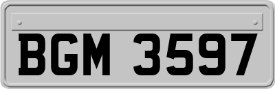 BGM3597