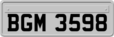 BGM3598