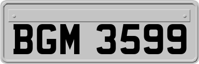 BGM3599