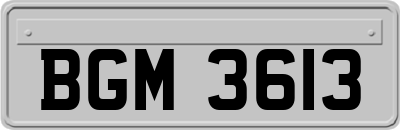 BGM3613