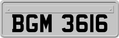 BGM3616
