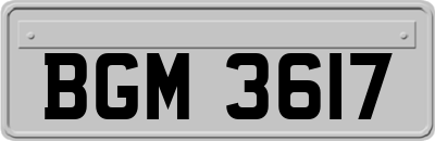 BGM3617