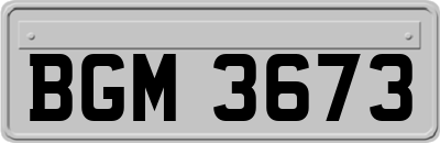 BGM3673