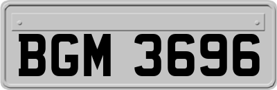 BGM3696