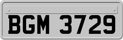 BGM3729