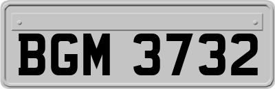 BGM3732