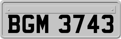 BGM3743