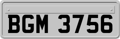 BGM3756