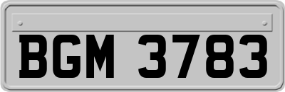BGM3783
