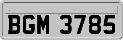 BGM3785