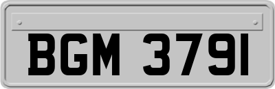 BGM3791