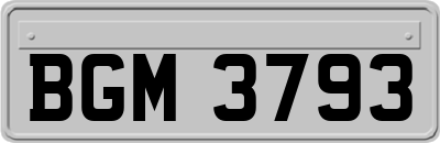 BGM3793