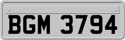 BGM3794