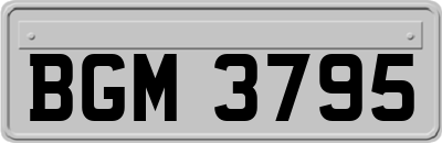 BGM3795