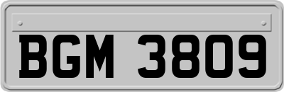 BGM3809