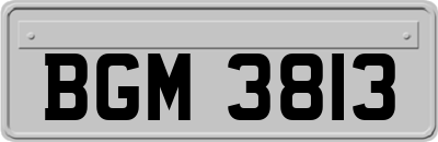 BGM3813