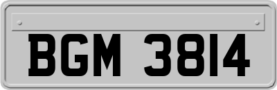 BGM3814