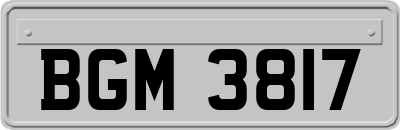 BGM3817