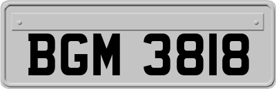 BGM3818